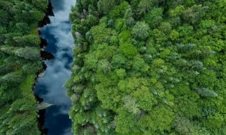 Note A für transparente Klimaberichterstattung