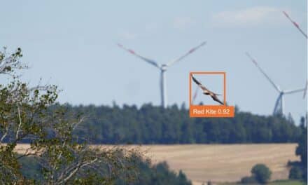 Kooperation für den Vogelschutz