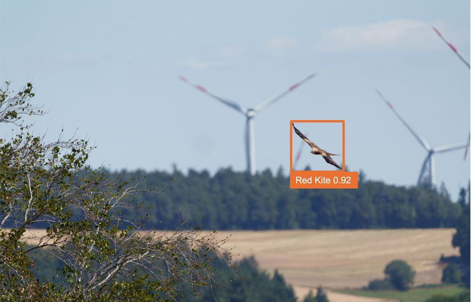 Kooperation für den Vogelschutz